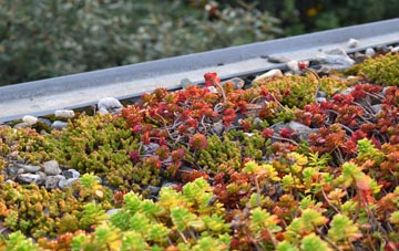 the cost of Lytchett Matravers green roof installation