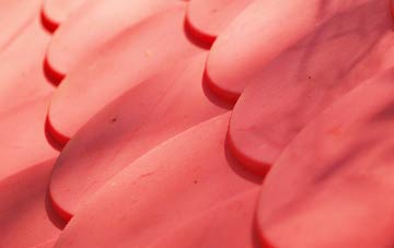 Lytchett Matravers plastic roof costs